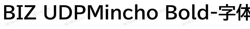 BIZ UDPMincho Bold字体转换